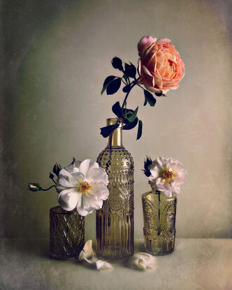 3 vintage glass vases with home grown roses.  Minimal.