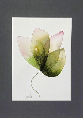  watercolour, pair of small watercolour paintings in greens and pinks, based on a four leaf clover. original art, Lucinda Leveille