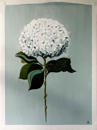 White Hydrangea painted in Acrylic on Cotton Canvas