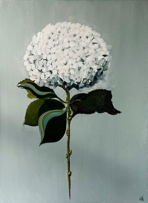 White Hydrangea painted in Acrylic on Cotton Canvas