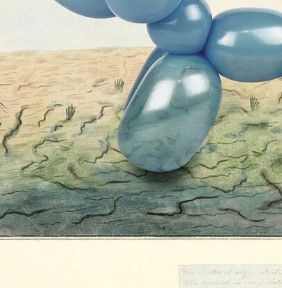 Australian landscape flora and fauna colonial-era painting by naturalist and convict arist Thomas Watling, with a quoll reimagined as a Jeff Koons-style transparent sky blue party balloon animal cat. 