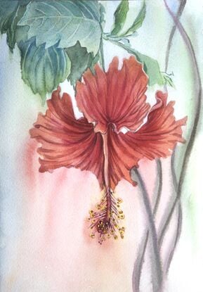 🎨Red hibiscus flowers symbolize love and fiery passion. The hibiscus flower is almost a must for an exotic rockabilly look.

🎨 This original watercolour painting can be a great gift for still life and botanical lovers or decorate the interior of your home.

🎨 This is original signed and dated (on the back) artwork made on professional watercolour paper ( 300 gr, acid free, 100% cotton, cold pressed ) with professional long - lasting watercolours Daniel Smith.

🎨 The artwork will be securely packed in protective materials and shipped the safest way, will be supplied with no mounting or frame.

🎨 More of my watercolour paintings, about me and my creative life.

https://bluethumb.com.au/alla-art
https://www.facebook.com/alla.artalla
https://www.instagram.com/artalla_artist
https://www.pinterest.com.au/WatetcolorbyArtAlla 