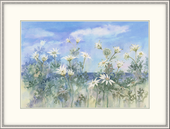 Watercolour painting of Flannel Flowers with blue sky and ocean horizon in the background