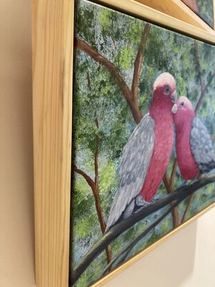 Two pink and grey galahs sitting on a branch in a loving and romantic embrace. One galah appears to be grooming its mate. The background is various shades of green representing the leaves in the trees behind them and blue sky filters through the leaves. 