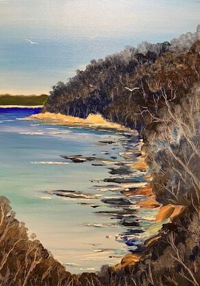 "Veiled Vista: Chowder Bay Through the Trees"