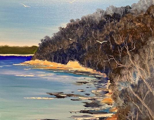 "Veiled Vista: Chowder Bay Through the Trees"