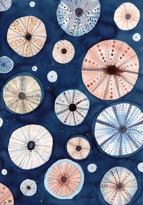 Sea urchins in blush and blue limited edition print