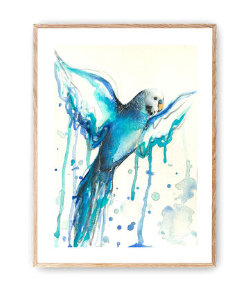 Watercolour blue budgie flying