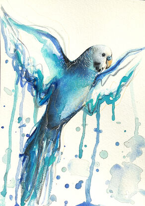 Watercolour blue budgie flying