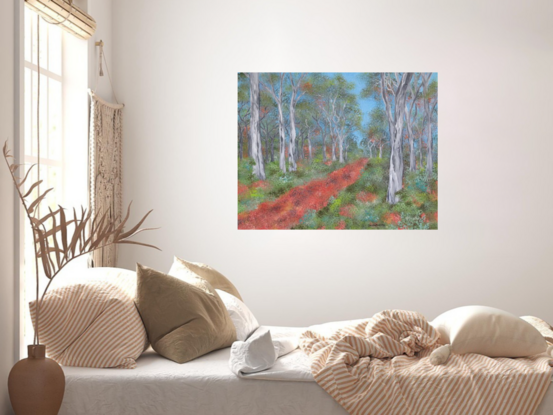 Path through the gum trees.