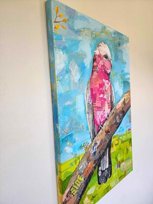 Collaged mixed media painting of a Galah