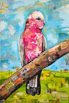 Collaged mixed media painting of a Galah