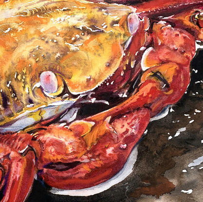 Sally Lightfoot crab's unique patterns of deep reds and bright yellows, making it appear like a precious gem among the rocky shores. 