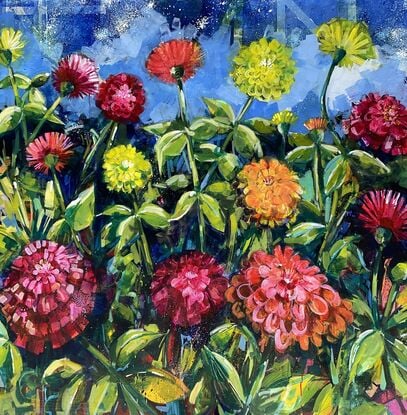 multi coloured zinnia flowers