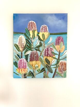 australian native banksia landscape seascape