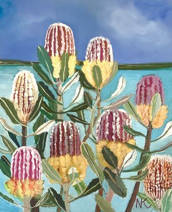 australian native banksia landscape seascape