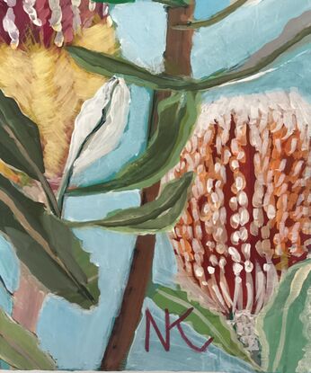 australian native banksia landscape seascape