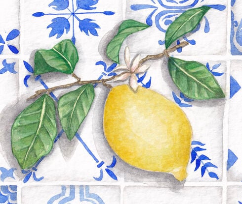 a branch with a lemon resting on Mediterranean-style tiles