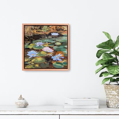 Waterlilies in a pond