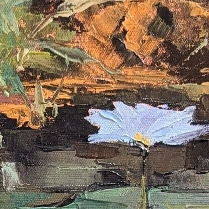 Waterlilies in a pond