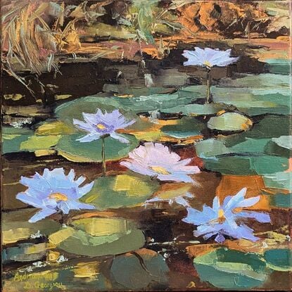 Waterlilies in a pond