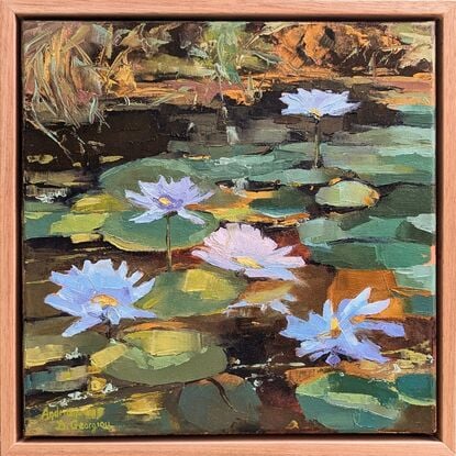 Waterlilies in a pond