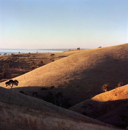 myponga, south Australia,  landscapes 