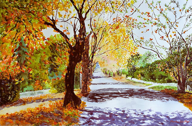 One of the side streets of Wentworth Falls in the Blue Mountains in late Autumn season, awash in sunlight and the vibrancy of the colours of the foliage of deciduous trees lining this street. 