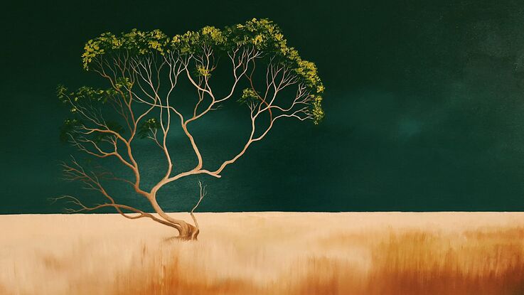 Large Australian landscape with dark teal sky and gold orange foreground with a twisted gum in the foreground,  Lucinda Leveille, original artwork, statement