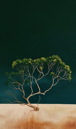 Large Australian landscape with dark teal sky and gold orange foreground with a twisted gum in the foreground,  Lucinda Leveille, original artwork, statement