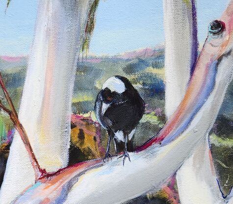 White Gumtrees and a Magpie