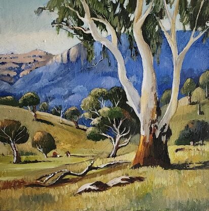 Australian Landscape depicting a gum tree against blue mountains.