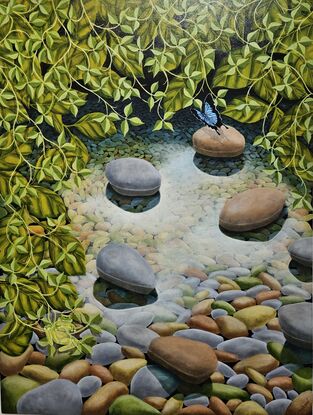 Rainforest Australia,  Green Tree Frog, Ulysses Butterfly , River Rocks. Leaves