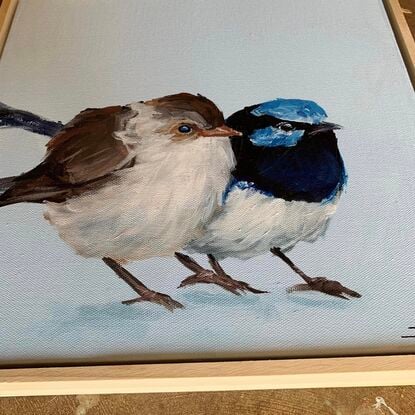 small framed Blue wren portrait