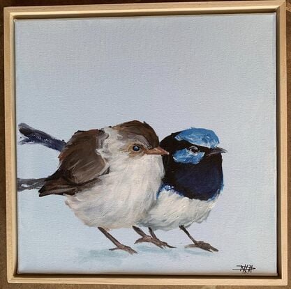 small framed Blue wren portrait