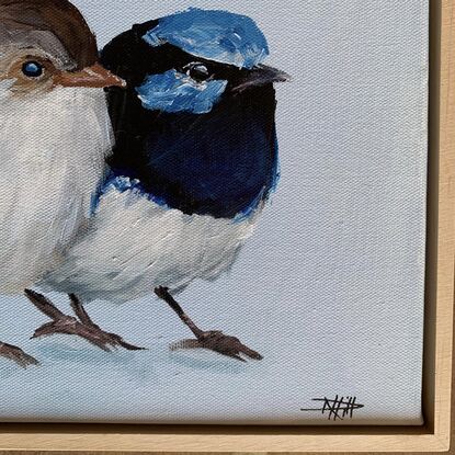 small framed Blue wren portrait