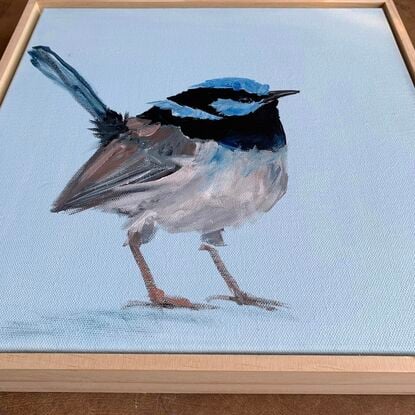 small framed Blue wren portrait