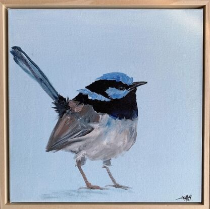 small framed Blue wren portrait