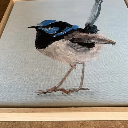 small framed Blue wren portrait