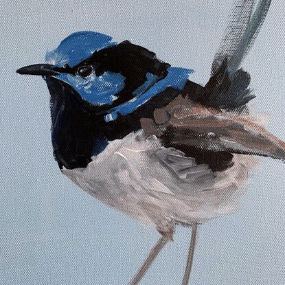 small framed Blue wren portrait