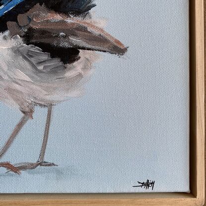 small framed Blue wren portrait