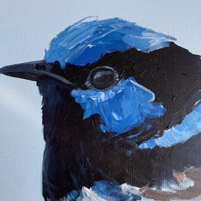 small framed Blue wren portrait