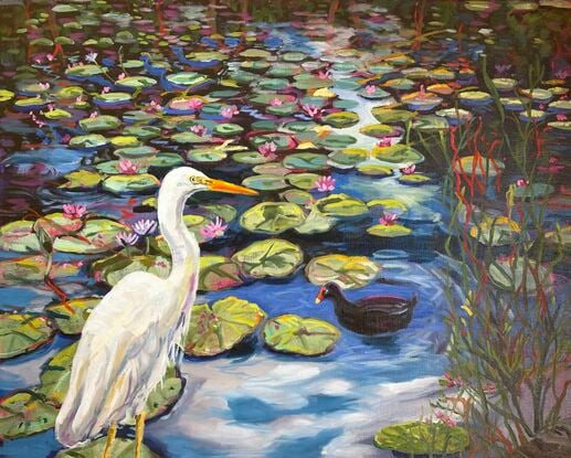 A white water bird emerges from the water of the waterlily lagoon. 