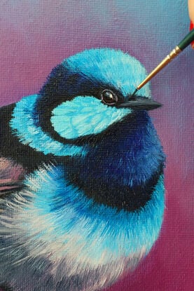 Superb Blue Fairy Wren Bird original oil painting by nicola mcleay