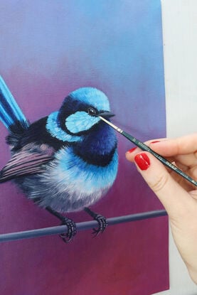 Superb Blue Fairy Wren Bird original oil painting by nicola mcleay