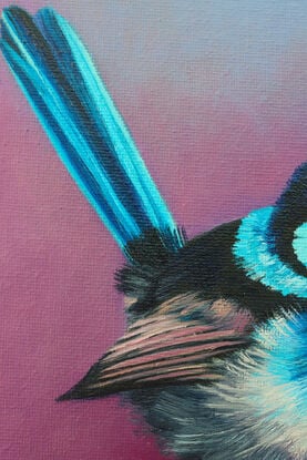 Superb Blue Fairy Wren Bird original oil painting by nicola mcleay