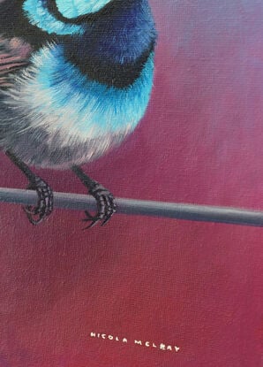 Superb Blue Fairy Wren Bird original oil painting by nicola mcleay