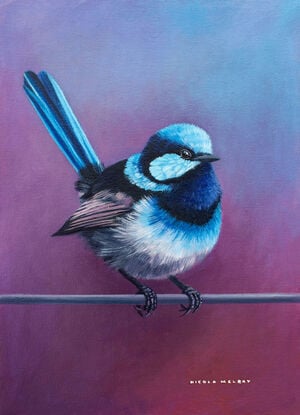 Superb Blue Fairy Wren Bird original oil painting by nicola mcleay