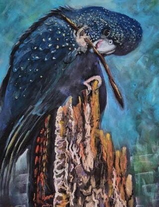 this artwork depicts the beauty of an Australian native bird of the Cacatuidae family which is our black cockatoo sitting on an awkward tree stump munching away at a twig against an abstract background of blues, greens and purple.