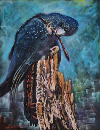 this artwork depicts the beauty of an Australian native bird of the Cacatuidae family which is our black cockatoo sitting on an awkward tree stump munching away at a twig against an abstract background of blues, greens and purple.